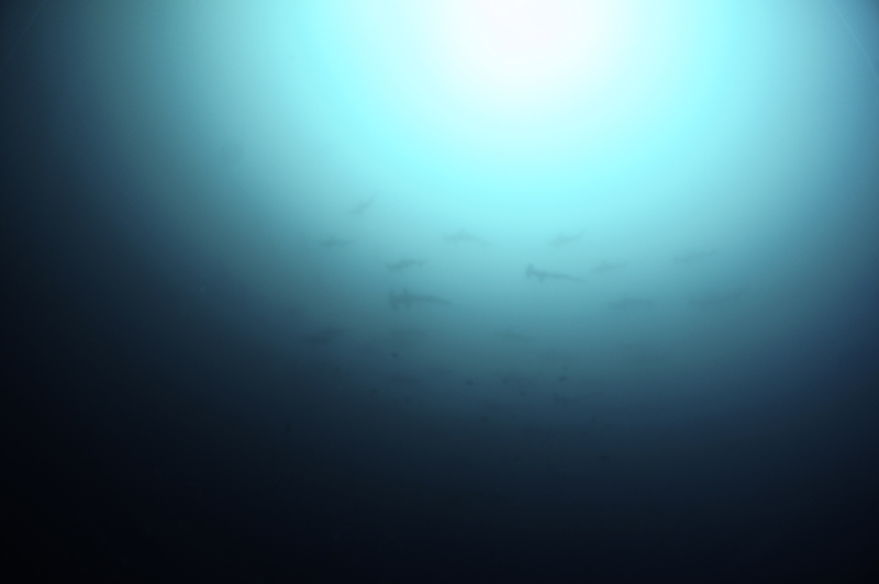 2014.09.13の神子元　秋晴れ！