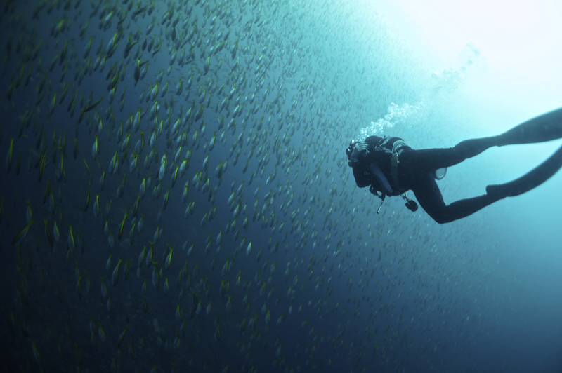 2014.10.26の神子元 青かったり濁ったり!