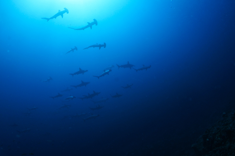 2015.08.14の神子元 青い海(^_^)v