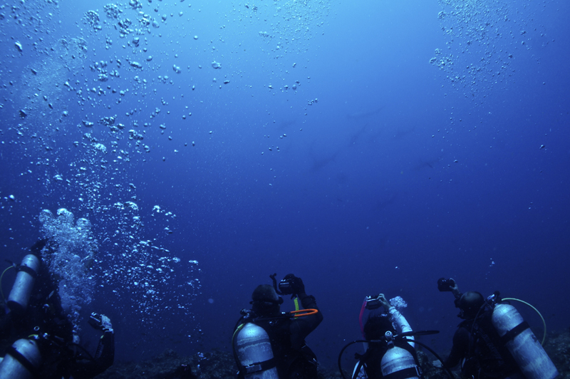 2015.08.16の神子元 お盆休み最終日は凪でした(^_^)v