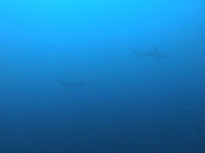 2015.10.12の神子元　天気は良し！