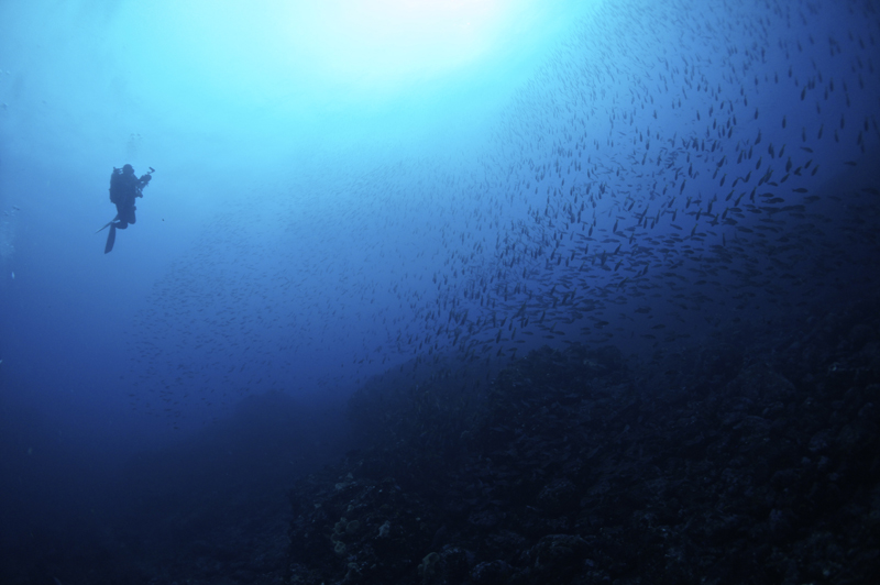 2016.3.20の神子元島　透視度抜群！