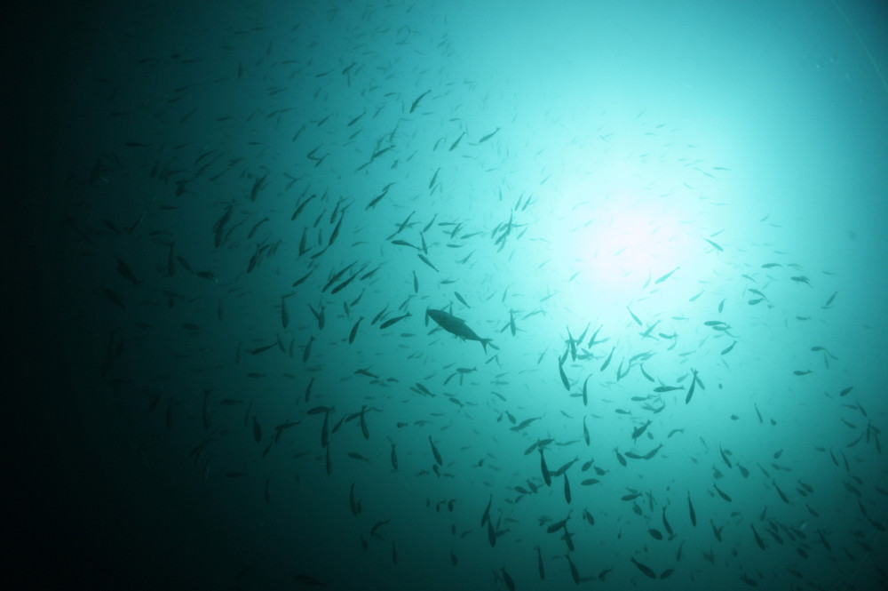 2016.09.29の神子元島　荒れ模様。