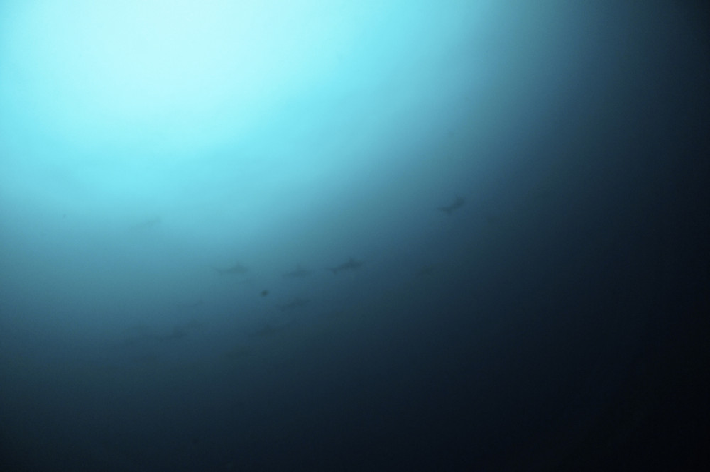 2016.10.01の神子元島　早いもので10月に！