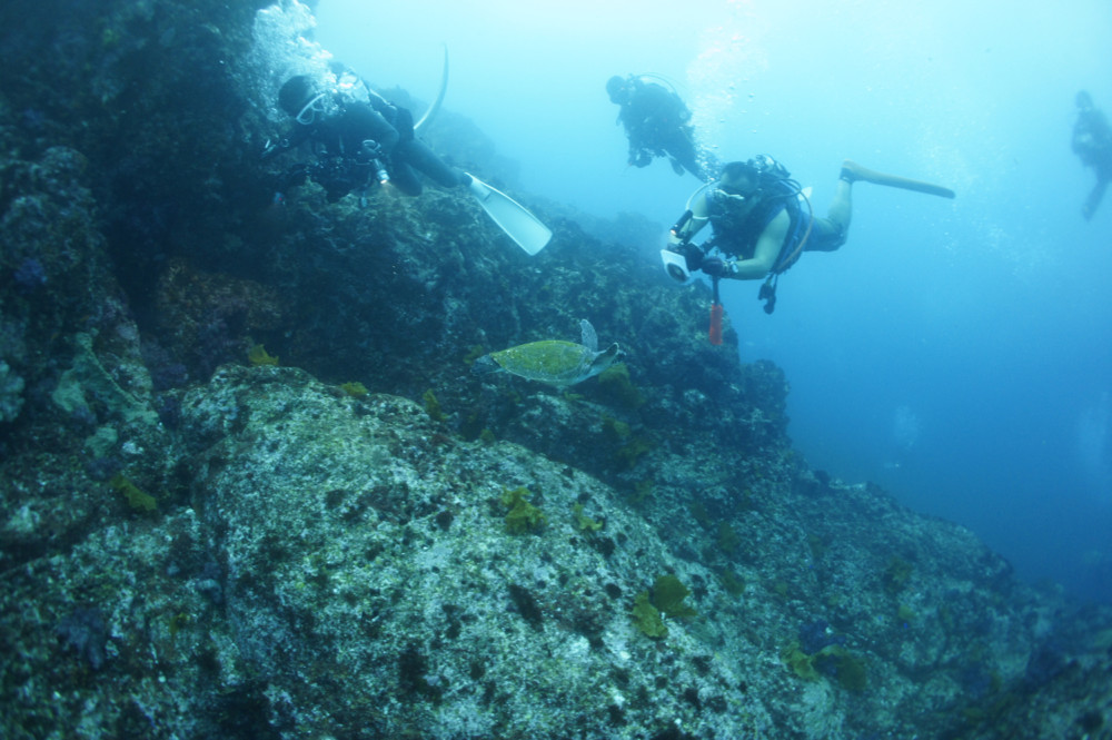 2017.07.01の神子元島　南西が吹きましたが3DV！3本目は水温アップ♪