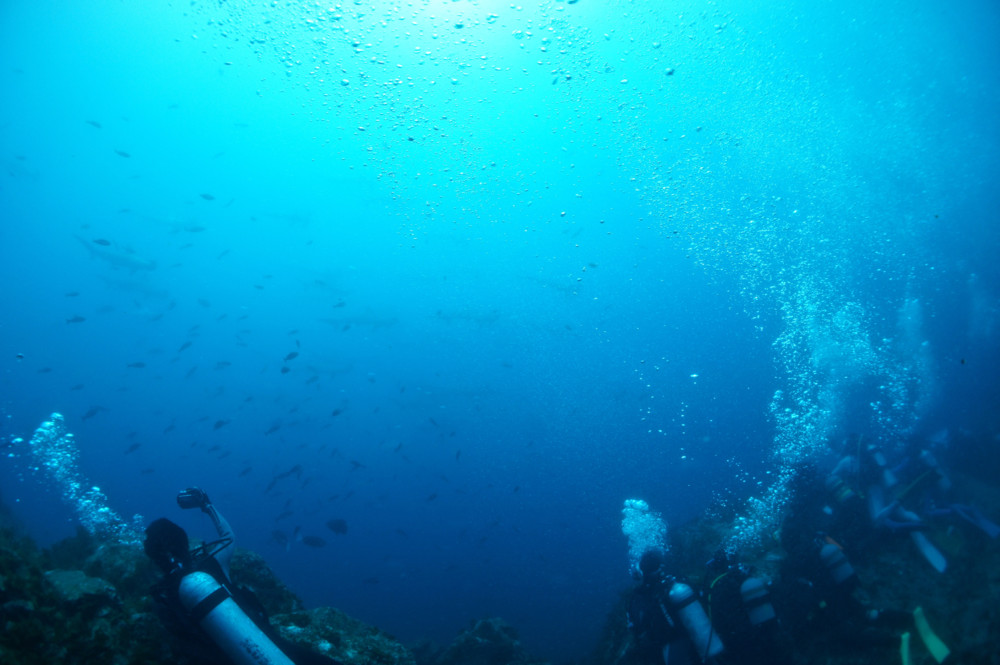 2018.07.20の神子元島  〆のハンマー観賞！