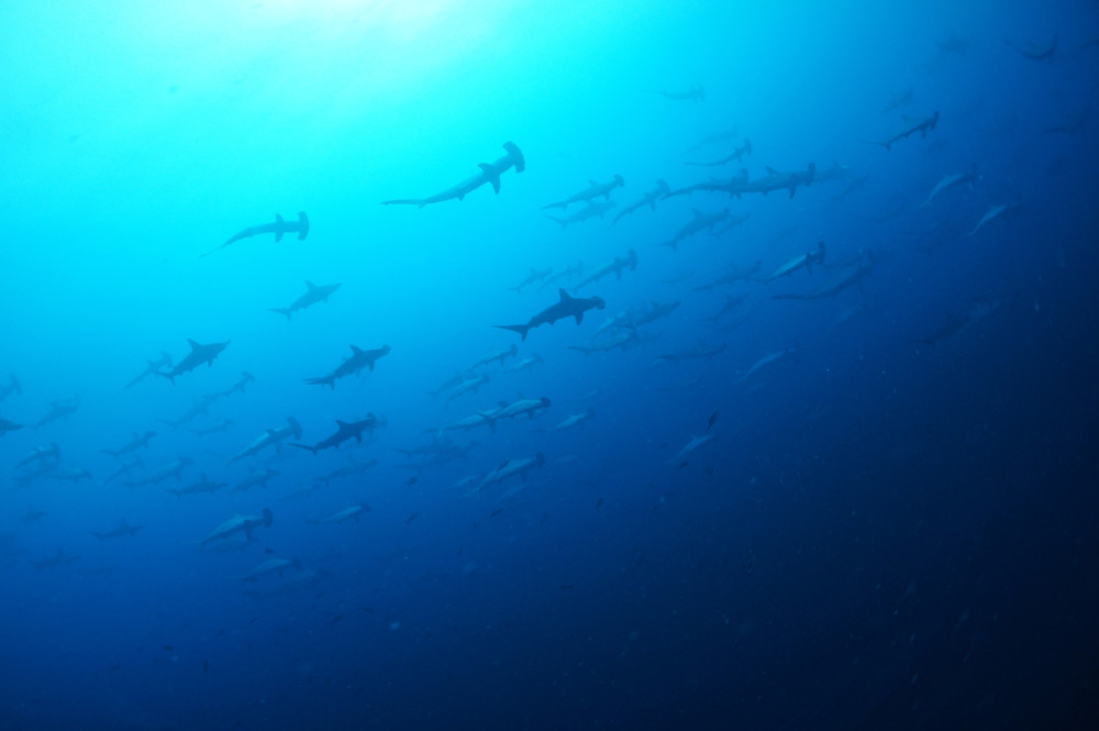 2019.08.18の神子元島　陸も船上も暑い！