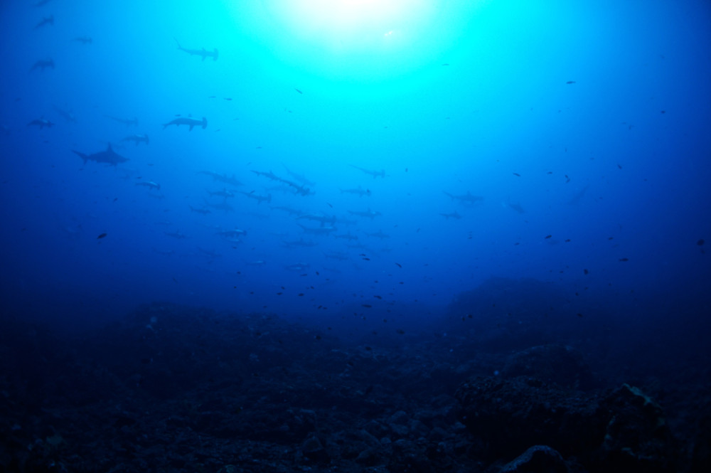 2019.09.01の神子元島　秋晴れ！