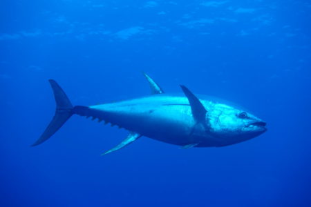 2020年 海遊社ソコロツアー!