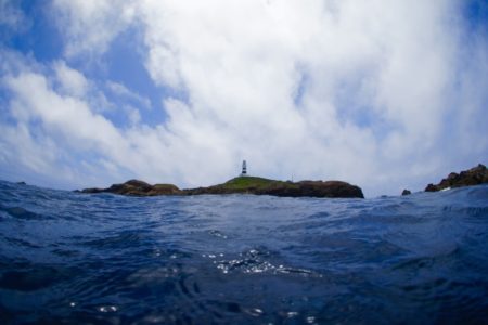 営業自粛期間のお知らせ。