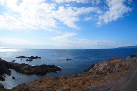 5月26日より営業再開いたします。