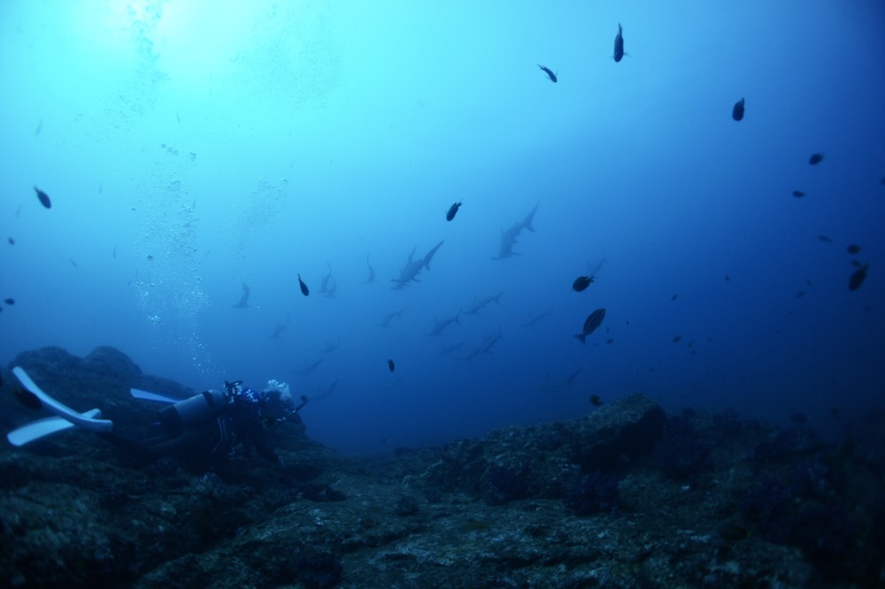 2020.10.06の神子元島　明日からしばらくクローズです。