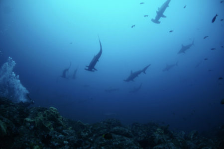 2021.09.11の神子元島　透視度回復！！！