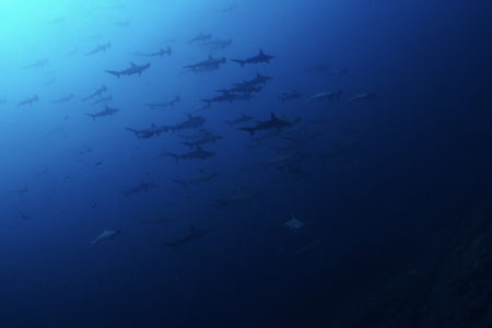 2021.09.13の神子元島　朝は青い海！！！