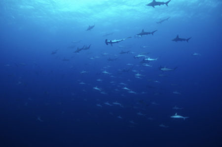 2021.09.14の神子元島　良い海続いてます！！！