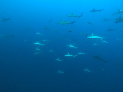2021.09.21の神子元島　満月大潮！