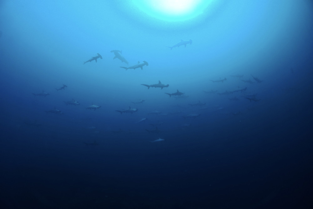 2021.11.05の神子元島　凪&ポカポカ陽気！