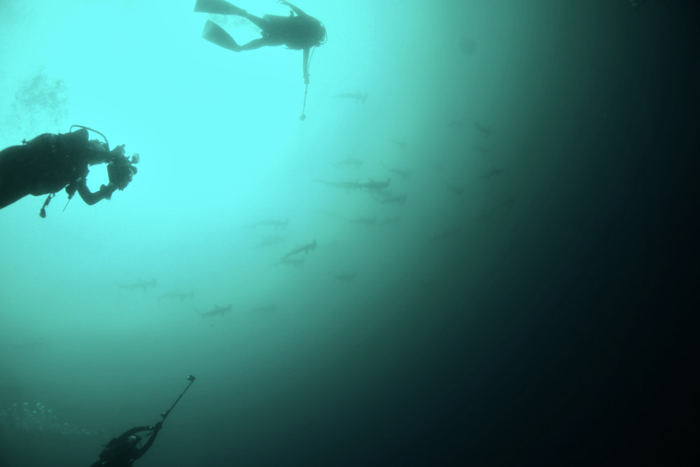 2022.07.16の神子元島　透視度が…。