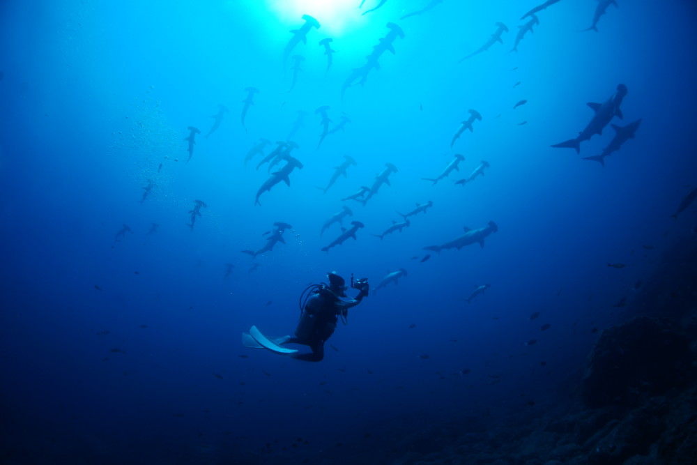 2022.07.27の神子元島　黒潮ブルー！