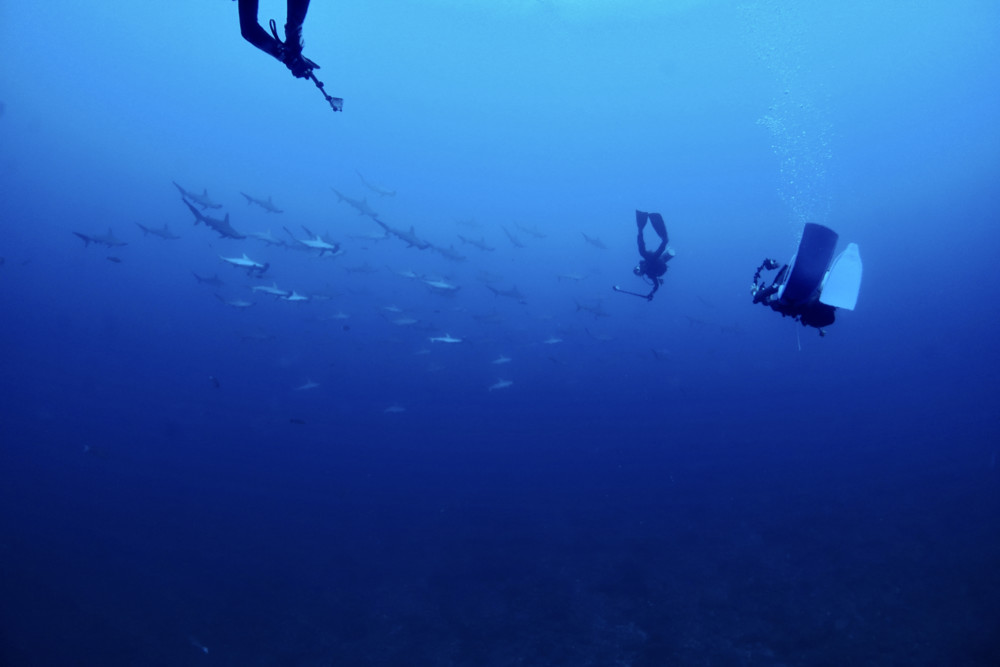 2022.08.30の神子元島　青い暖かい！！！