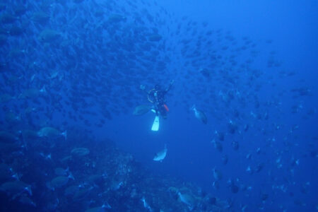 出航のお知らせ