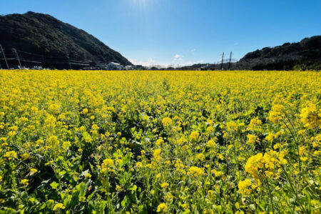 出航のお知らせ