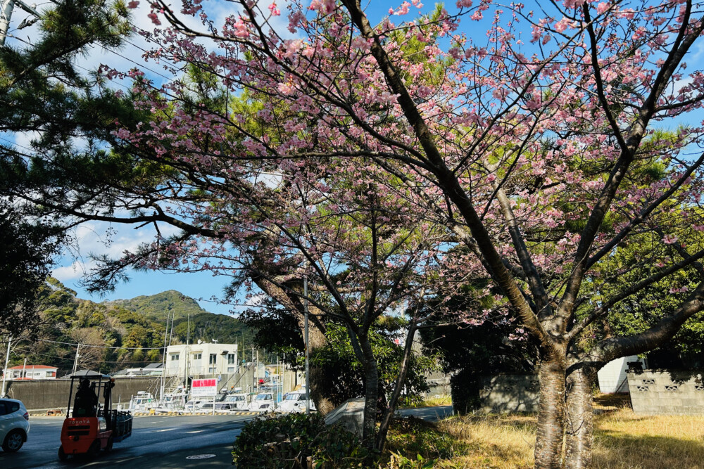 出航のお知らせ