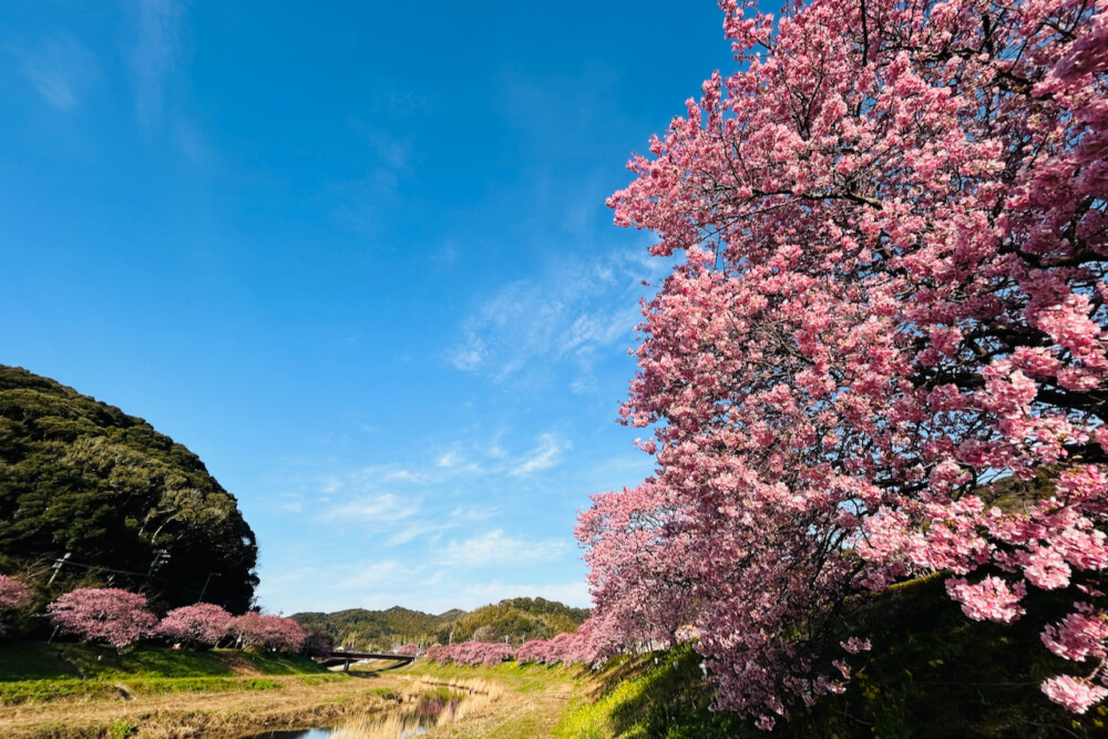 出航のお知らせ