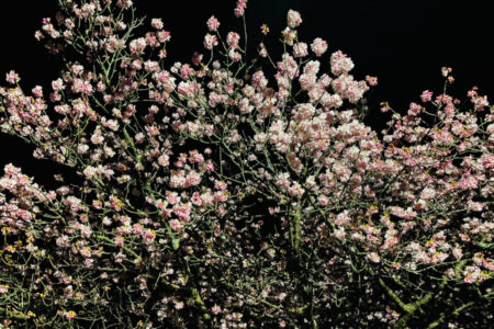 出航のお知らせ