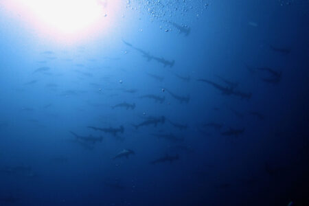 2024.6.7の神子元島 濁 → 青 → 濁/青