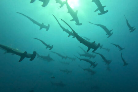 2024.7.22の神子元島　白と青、冷と温、濁と清。