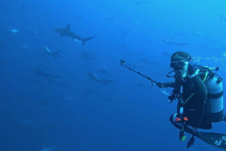 2024.8.24の神子元島　復活の兆し！？！？