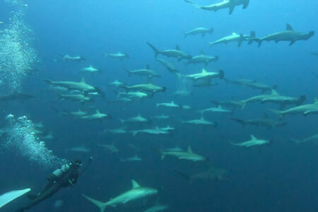 2024.8.4の神子元島　ハンマー警報発令中♪