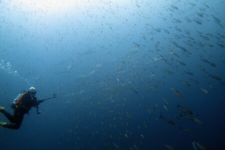 2024.12.10の神子元島 長期欠航明けは◎!!