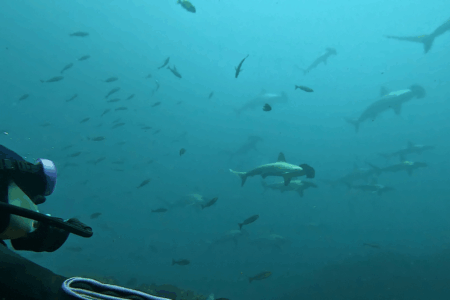 2025.6.28の神子元 ハンマーの肉体美に惚れ惚れ♪