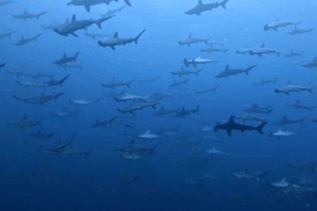 2025.7.1の神子元 7月スタート、最高の幕開け♪