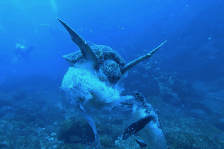 2025.7.2の神子元 空もハンマーも湿り気味