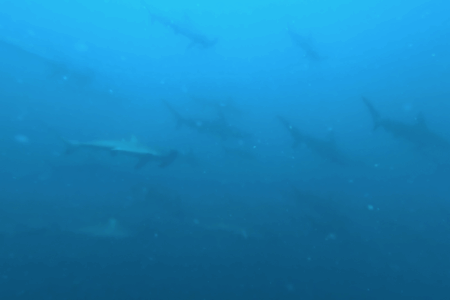 2025.7.24の神子元　Aポイント復活？神子元白濁ハンマー劇場！