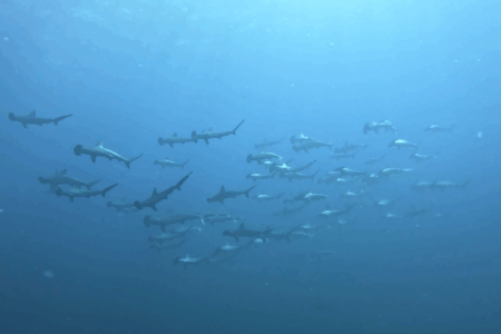 2025.7.20の神子元　静から動へ、少し前進！