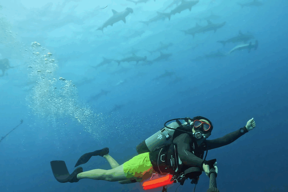 2025.7.11の神子元　北東風が吹きました！
