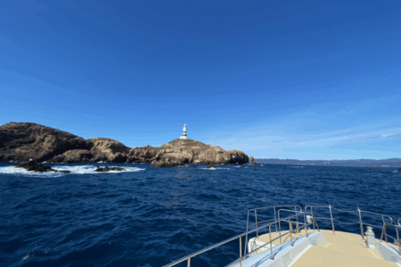 欠航のお知らせ