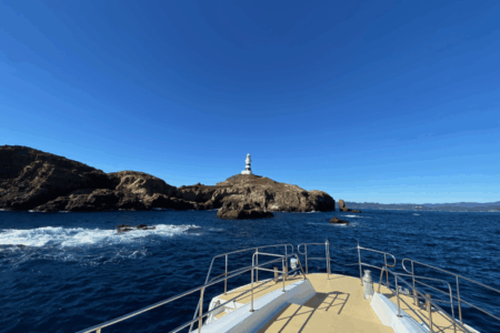 欠航のお知らせ