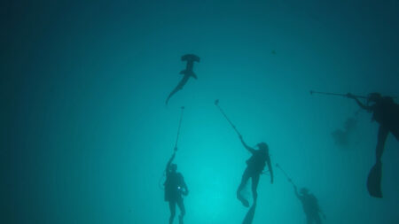 2026.03.29の神子元島 絶好の沖待ち日和♪♪