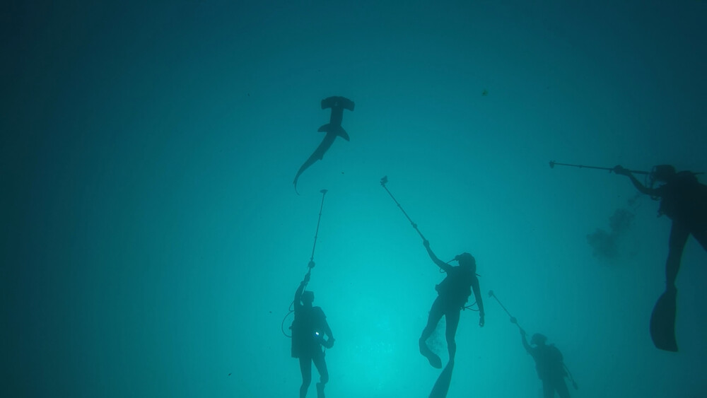 2026.03.29の神子元島 絶好の沖待ち日和♪♪