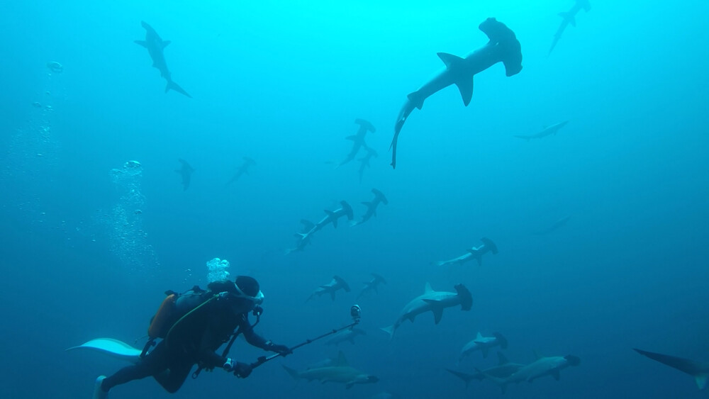 2026.03.22の神子元島 凪!!真打登場!!